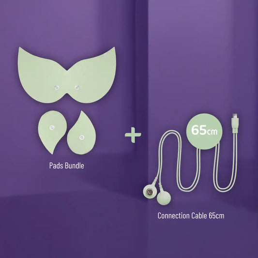 Complete Comfort Bundle